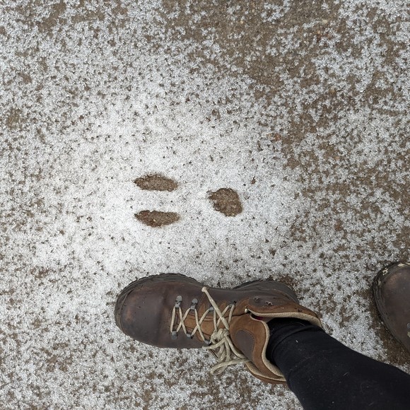 Meet your Posher, Karina - Picture 1 of 1